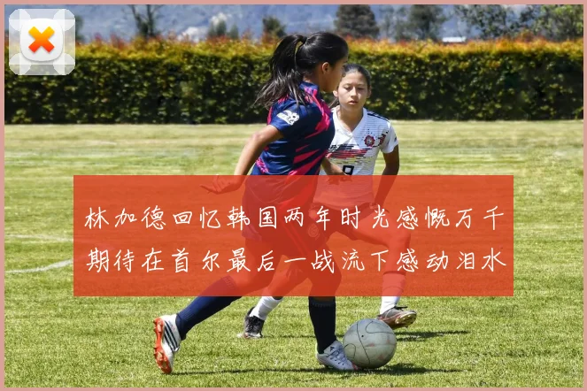 林加德回忆韩国两年时光感慨万千期待在首尔最后一战流下感动泪水
