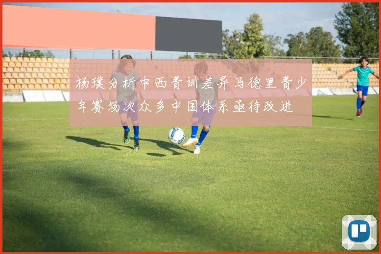杨璞分析中西青训差异马德里青少年赛场次众多中国体系亟待改进
